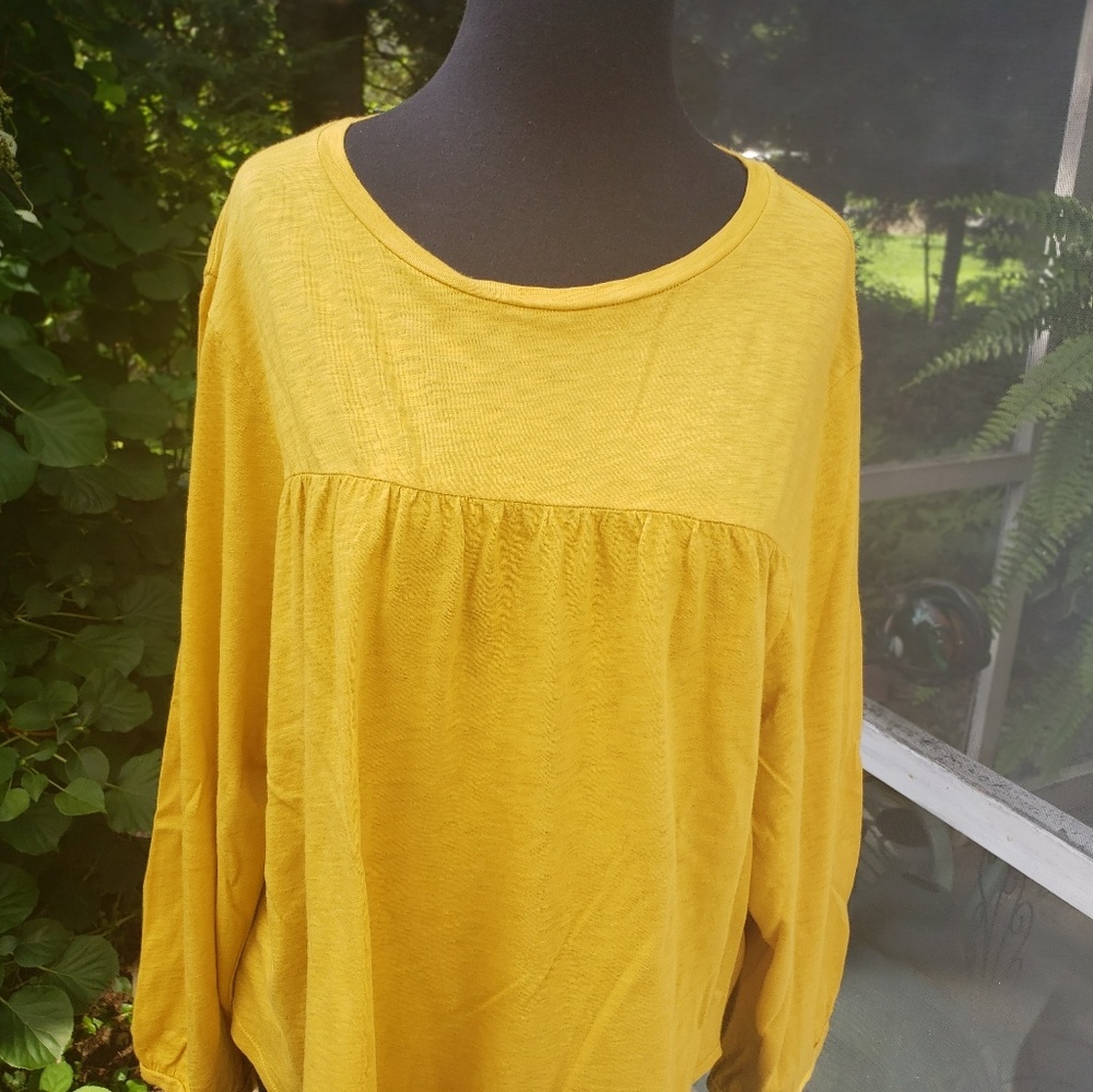 VELVET Dome Sleeve Tunic Top